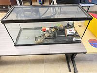 Front view of glass terrarium with accessories inside