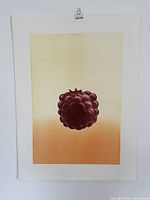 Full view of the unframed aquatint etching on sheet showing raspberry image and deckled edge