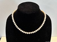 Necklace displayed on bust showing full strand of pearls