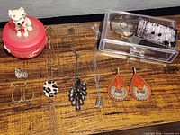 Overview showing jewelry box, necklaces, earrings, clear storage box