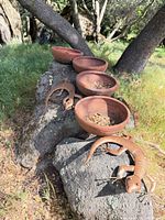 Four terracotta bowls and metal lizard arranged on rock outdoors
