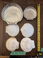 All items arranged with tape measure for scale