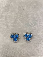 Front view of both silver-tone earrings showing blue rhinestone floral clusters