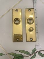 Front view of both polished brass plates showing circular openings and screw holes