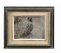 frontal view of framed lithograph