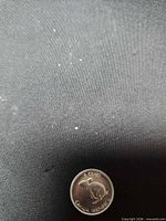 Reverse side with rabbit design and dates