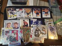 Wide view of binder page showing various sleeved cards including Canvas, Portraits, Pageantry inserts