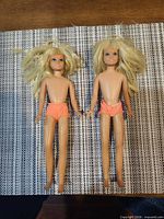 Front view of two Malibu Skipper dolls showing condition, attire and hair