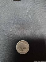 Reverse of Buffalo Nickel showing bison design