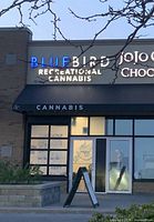Exterior view of BlueBird Cannabis storefront