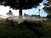 Lawn sprinkler in operation illustrating irrigation service