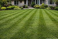 Representative image of a well-maintained striped lawn