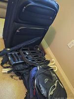 Group with suitcase, folding cart, backpack visible