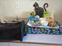 All items grouped on countertop showing carrier, blanket, bowls, toys, decor and clock