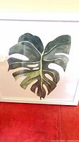Front view of framed monstera leaf art print in white frame