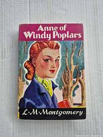 Front of book showing dust jacket illustration and title