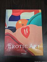 Front cover showing title, authors and artwork