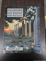 Front cover of Pleasure of Ruins book