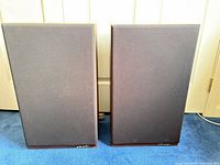 Front view of both speakers with grilles attached