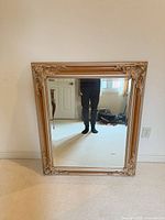 Full view of the mirror front showing frame and glass