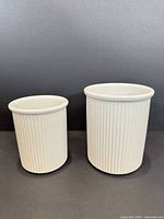 Front view of both white ribbed stoneware canisters, showing relative sizes