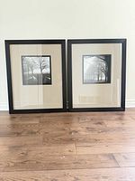 Both framed prints side by side showing overall design and size
