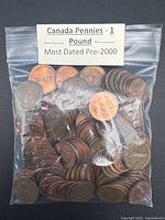 Front view sealed bag of Canadian pennies with label