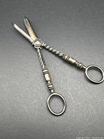 Full view of grape shears showing overall design
