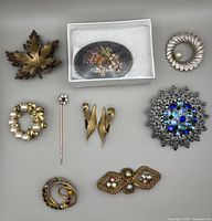 Front view of ten brooches and stick pin showing designs and stones