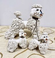 Front view of large mother poodle and two puppies showing spaghetti texture and metal chains