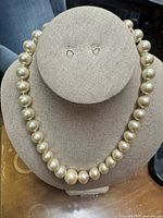 Full view of necklace on display bust showing bead size and color