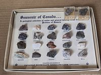 Full tray showing all mounted specimens and two loose samples