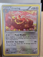 Front of Ursaring holographic card in sleeve