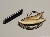 Front view of both brooches showing designs and metals