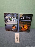 Front covers of both paperback books side by side with lot tag visible