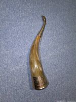 Full view of horn showing shape, color and metal mounts