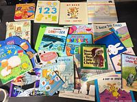 overview of all 18 board books spread out