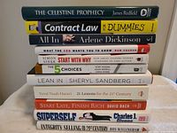 Stack of all 11 books showing spines and titles