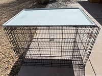 Black wire dog crate with plastic tray on top