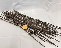 Group of rusted double-strand barbed wire pieces laid out on white cloth