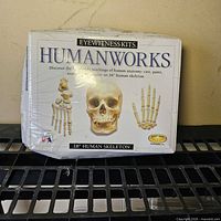 Front of sealed Eyewitness Kits Humanworks box showing skull, bones and 18" Human Skeleton text