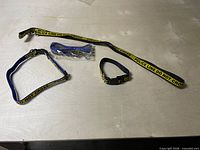 All four items laid out: two leashes, two collars, one collar bagged