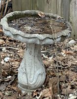 Full view of bird bath showing pedestal and scalloped rim