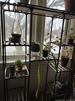Full view of plant shelf in front of window showing both columns and slat shelves