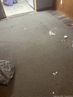 Full view of sage area rug showing looped texture and scattered debris