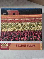 Front of Springbok Field of Tulips 2000-piece puzzle box