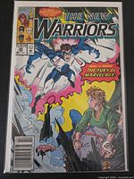 Front cover showing title, artwork, bagged and boarded