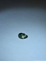 Top view of single mint green oval Apatite gemstone