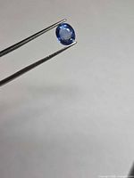 Oval cornflower blue sapphire held in tweezers, face-up view