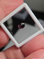 Front view of loose oval sapphire in display case